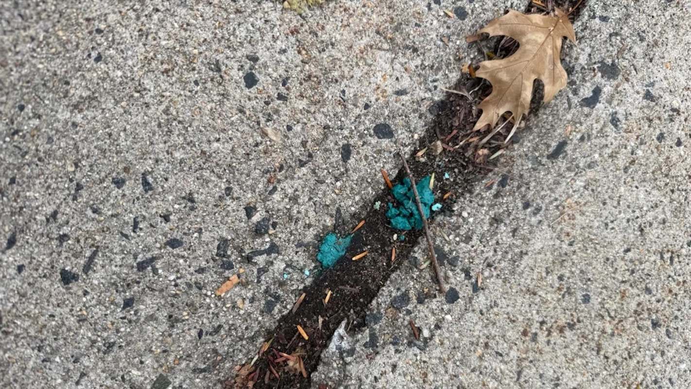 A patch of dirt with turquoise-green material and a dry leaf on a textured concrete surface.
