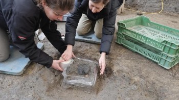 Two people excavating an artifact at a dig site.
