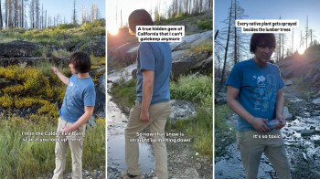 A person stands in a burn scar area, discussing native plants and environmental issues at sunset.