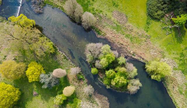 An aerial view of a winding river surrounded by lush greenery and trees in various shades of green and brown.