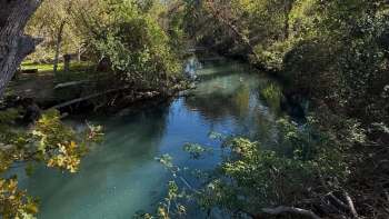 A serene river flows through lush greenery, reflecting the surrounding trees and natural scenery.