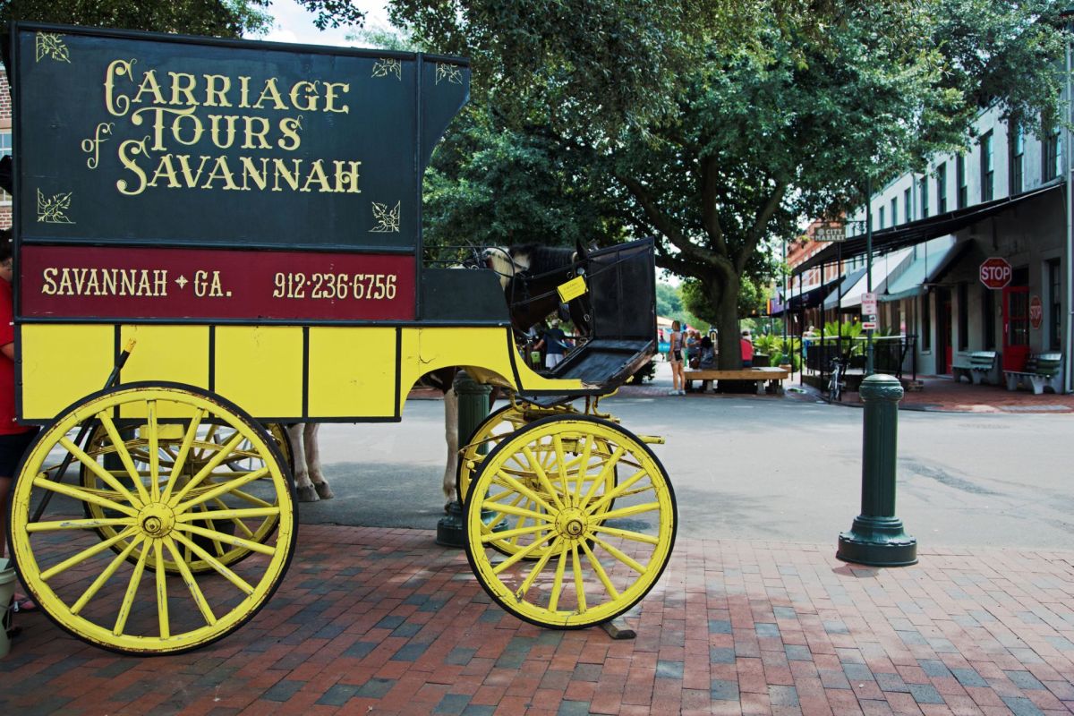 A horse behind a carriage in Savannah, Georgia.