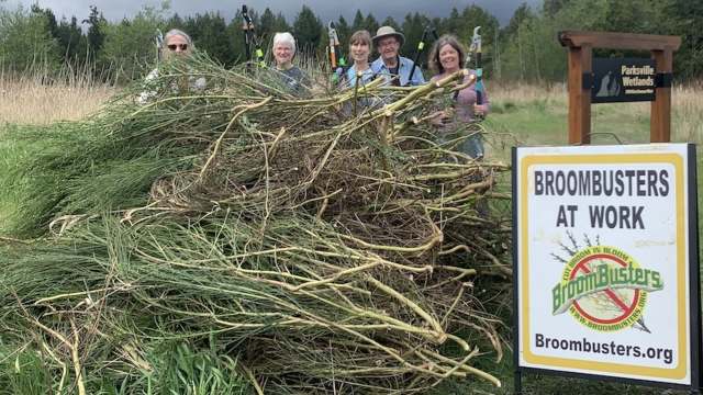 A group of volunteers stands beside a large pile of pulled plants at a park, displaying a sign for "BroomBusters at Work."