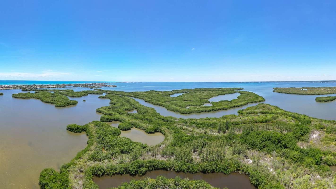 A panoramic view of winding waterways bordered by lush green mangroves under a clear blue sky.
