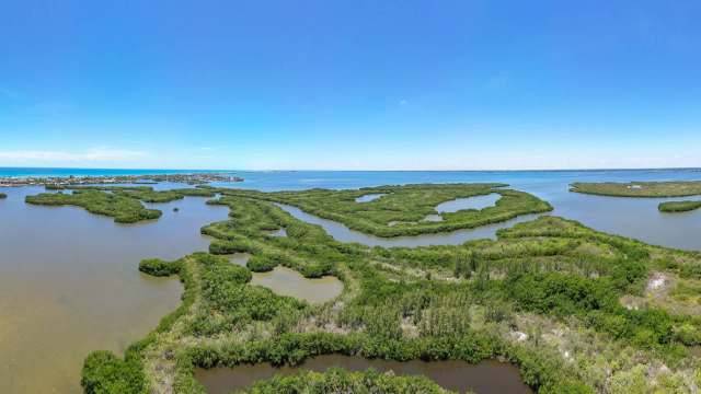 A panoramic view of winding waterways bordered by lush green mangroves under a clear blue sky.