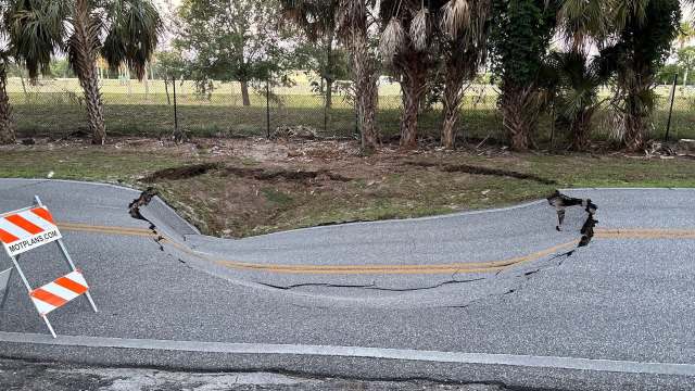 A cracked road with a noticeable dip, surrounded by palm trees and caution signs.