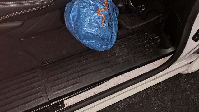 A close-up of a car's footwell showing a blue bag and a small snake resting on the mat.