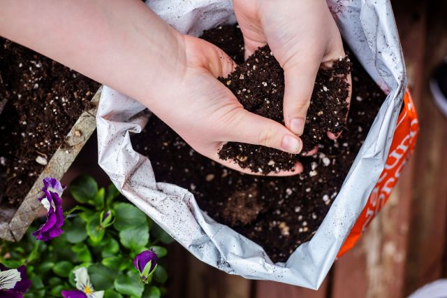 Hands hold soil above an open bag, with blooming flowers visible in the background.