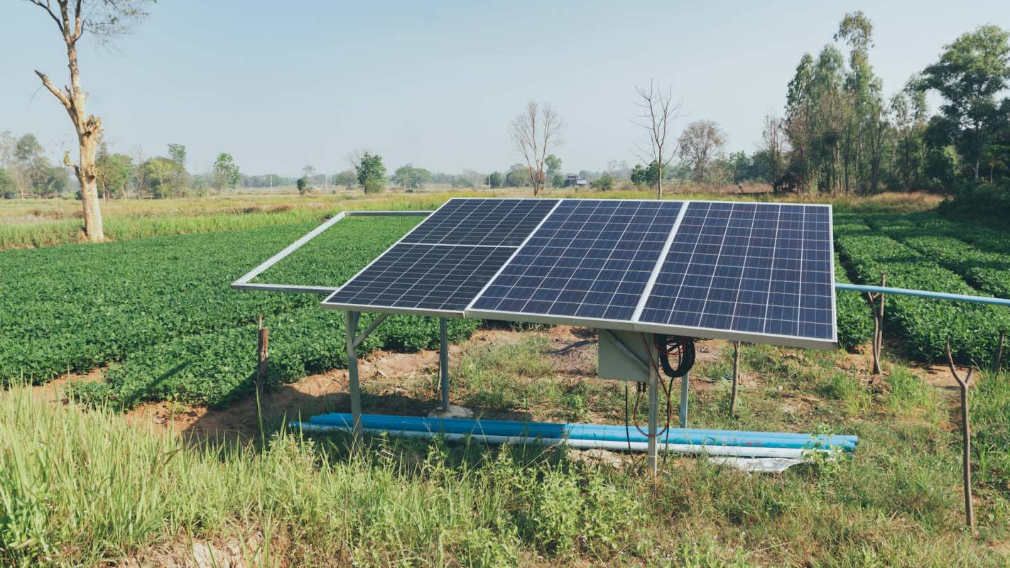 A solar panel system at a farm surrounded by green crops and trees under a clear blue sky.