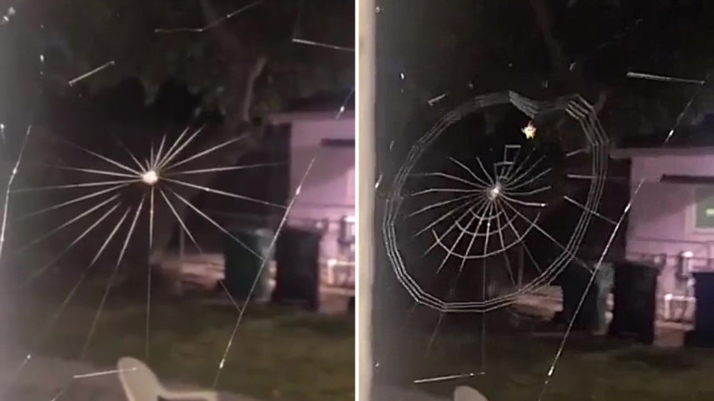 Spider web at night, one with radiating lines and the other forming a circular pattern, with a blurred background.