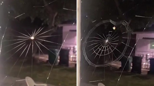 Spider web at night, one with radiating lines and the other forming a circular pattern, with a blurred background.
