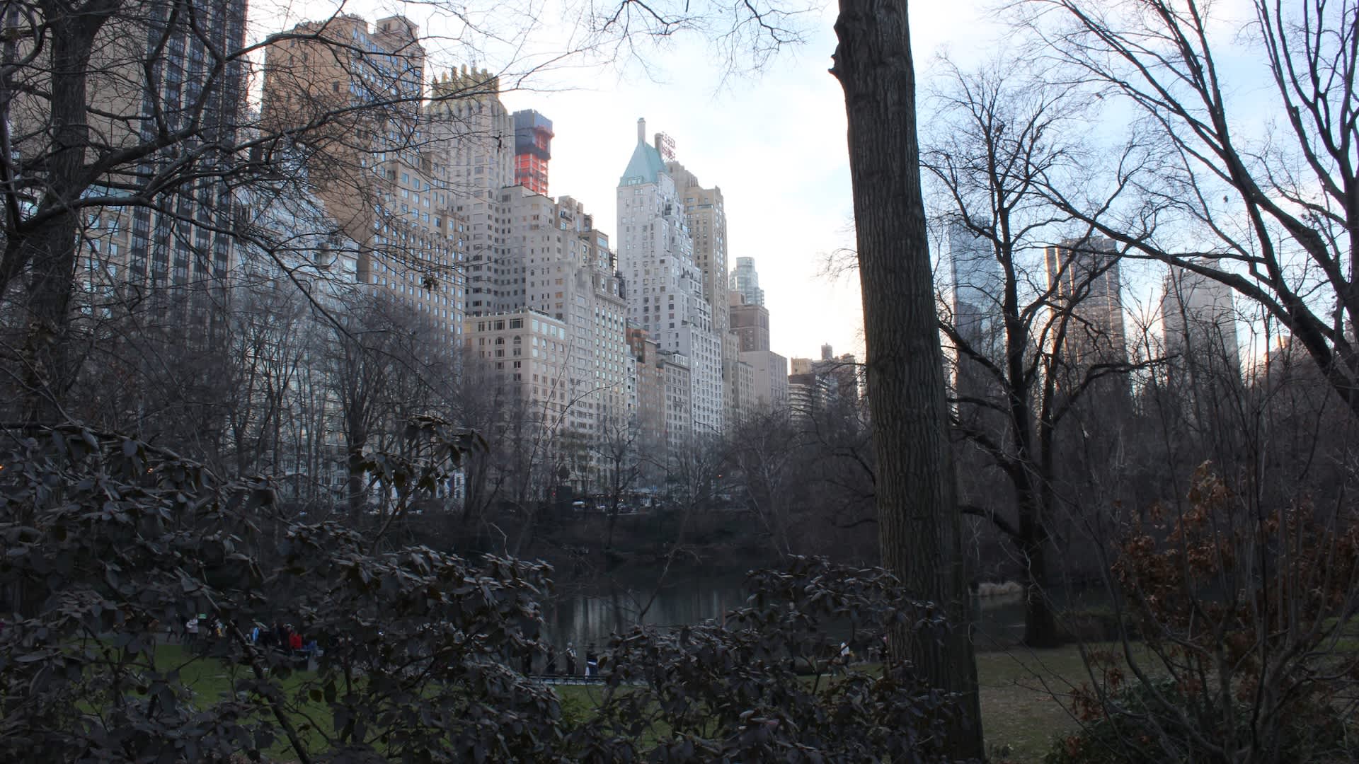 'Plague' of invasive insects may hit New York City this year, experts warn