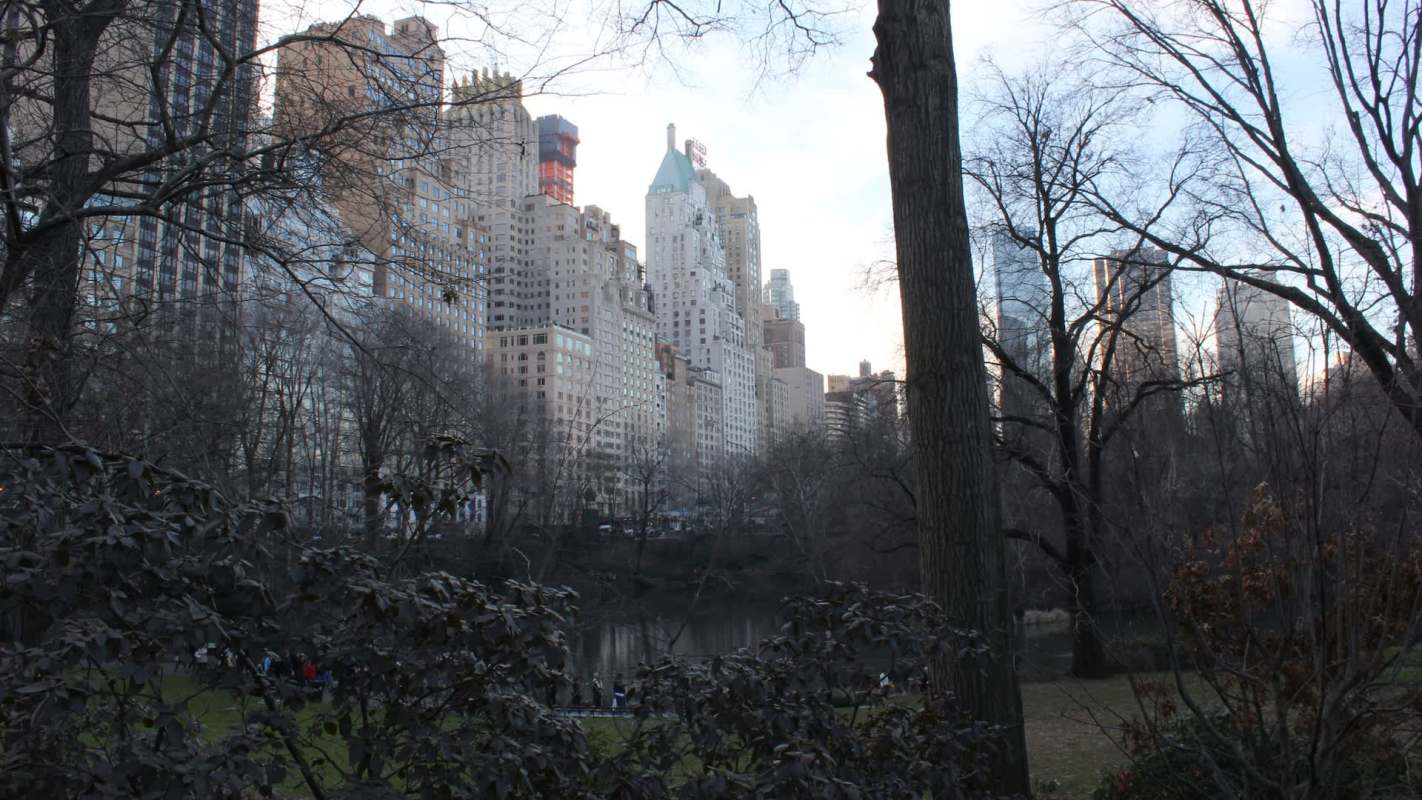 Skyscrapers tower over Central Park in New York City with bare trees and a small pond in the foreground.