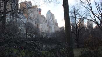 Skyscrapers tower over Central Park in New York City with bare trees and a small pond in the foreground.