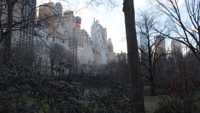 Skyscrapers tower over Central Park in New York City with bare trees and a small pond in the foreground.