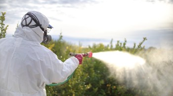 A person in a protective suit sprays plants with a pesticide in an outdoor setting.
