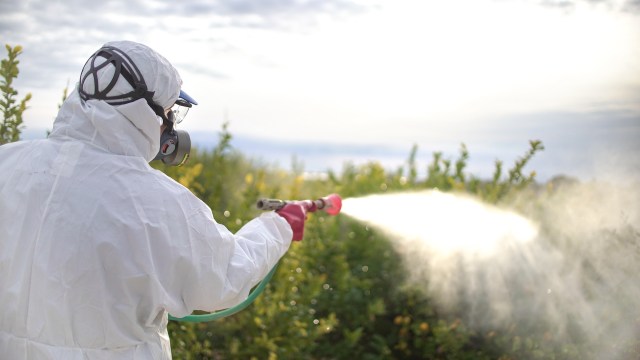 A person in a protective suit sprays plants with a pesticide in an outdoor setting.