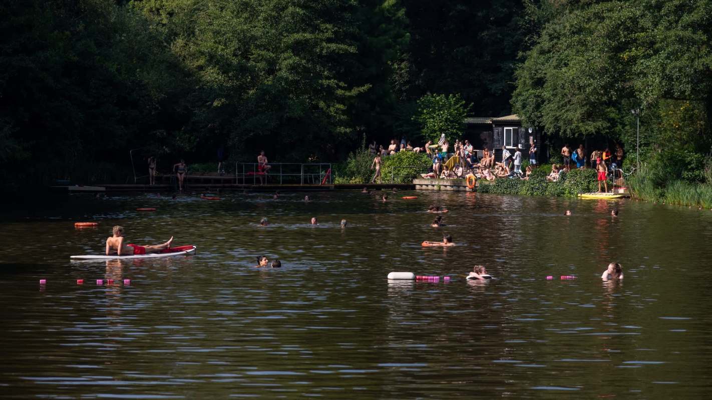 A sunny lake scene with people swimming, lounging on rafts, and relaxing on a shore with trees in the background.