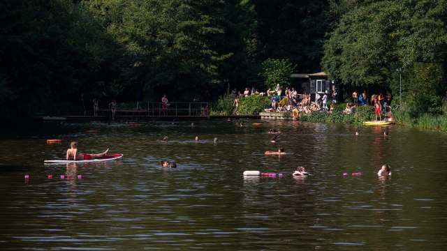 A sunny lake scene with people swimming, lounging on rafts, and relaxing on a shore with trees in the background.