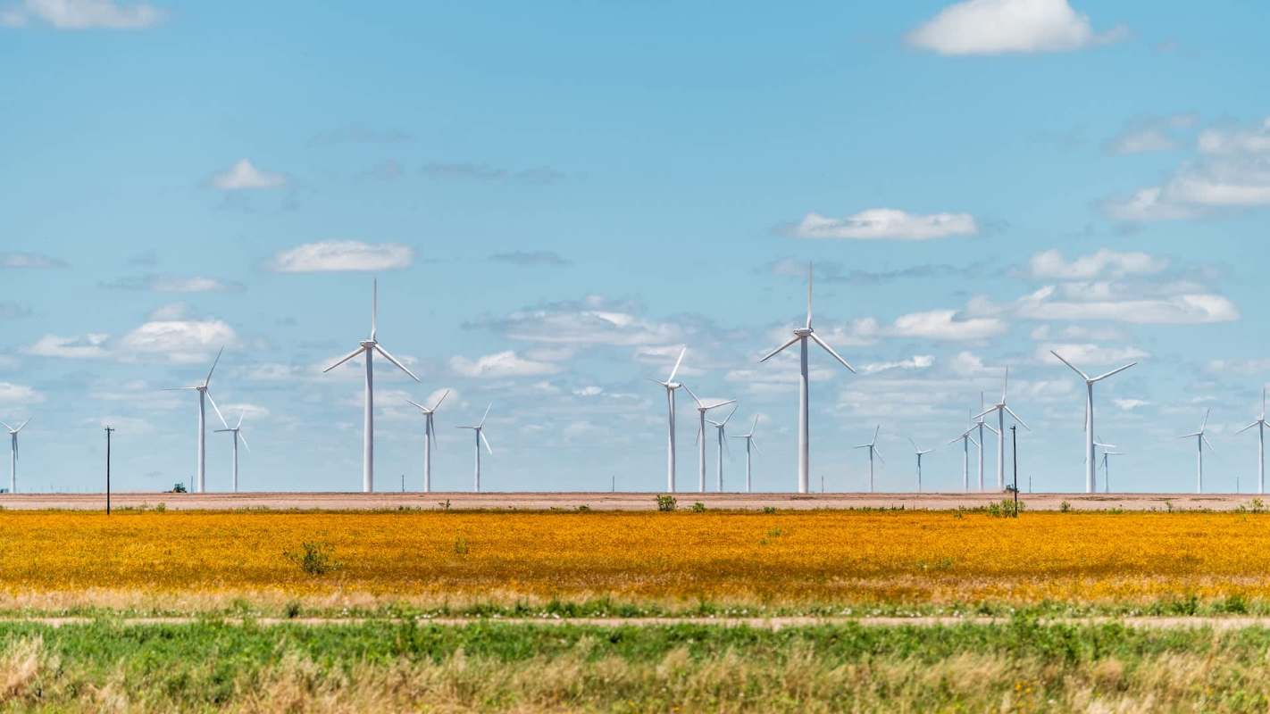A vast landscape featuring numerous wind turbines against a backdrop of blue sky and fields of yellow wildflowers.