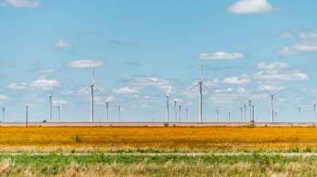 A vast landscape featuring numerous wind turbines against a backdrop of blue sky and fields of yellow wildflowers.