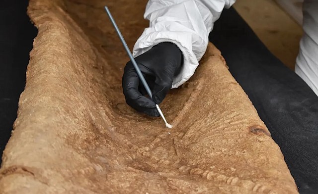 A gloved hand cleans an ancient wooden artifact using a small brush and tool in a controlled environment.
