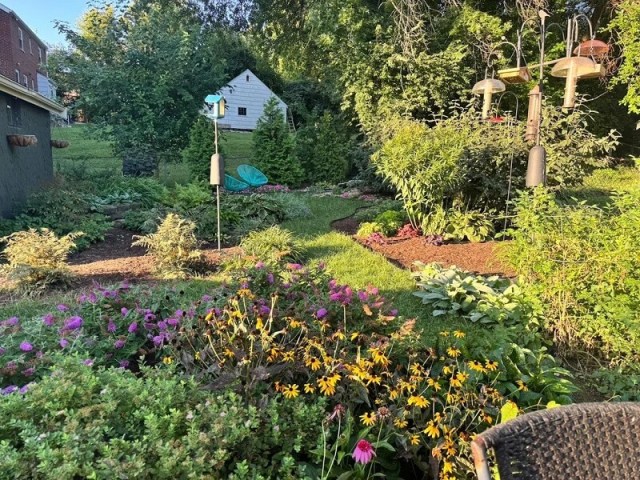 A cleared garden area with a wheelbarrow, garden tools, and potted plants arranged along a marked path.