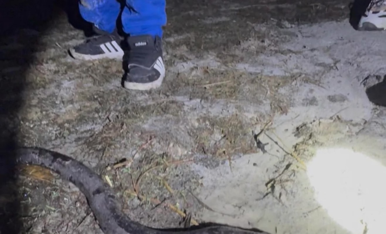 A person stands near a large snake-like figure illuminated by a flashlight.