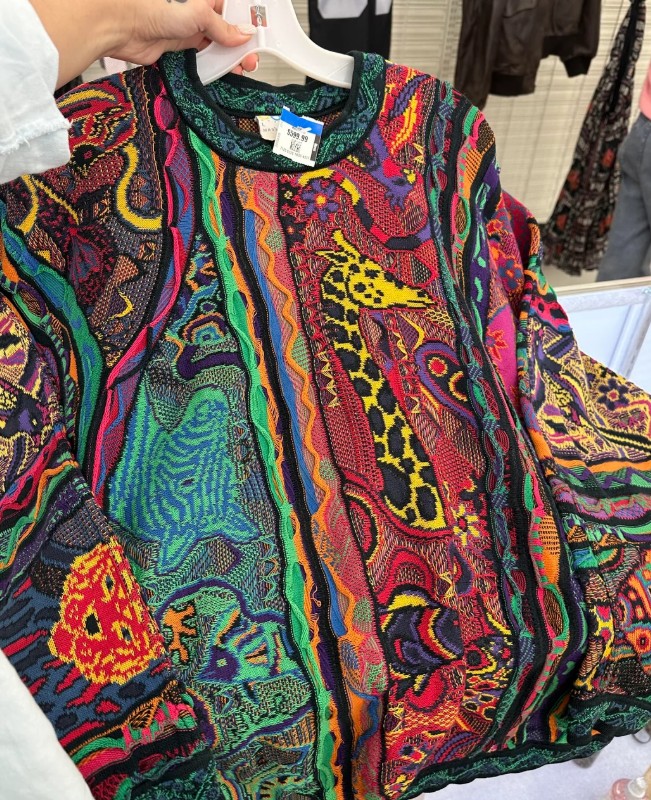 A multicolored sweater featuring knit images of a giraffe and a zebra.