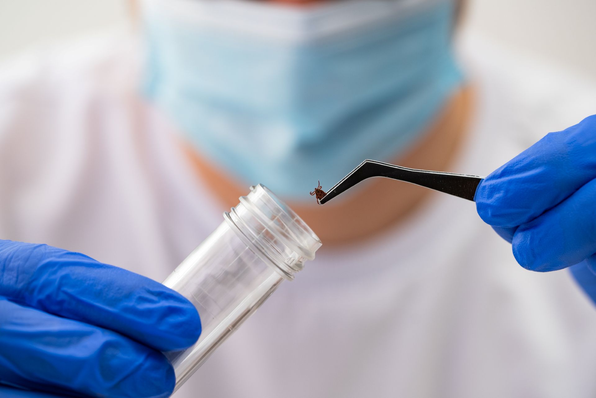 Early 2026 data show Lyme disease threat surging as 40% of Connecticut ticks test positive