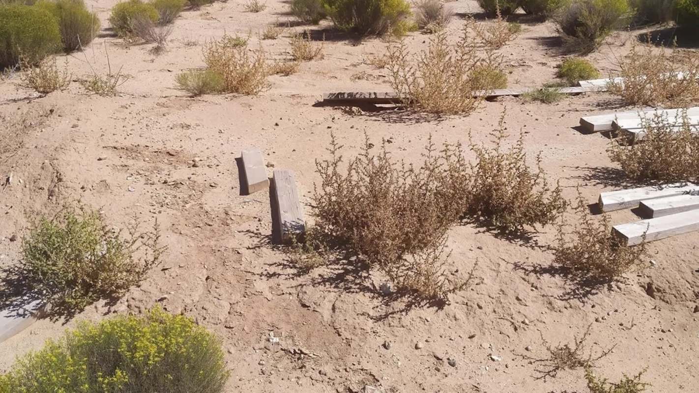 A desolate landscape featuring dry soil, sparse vegetation, and scattered wooden planks.