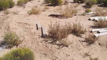 A desolate landscape featuring dry soil, sparse vegetation, and scattered wooden planks.