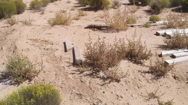 A desolate landscape featuring dry soil, sparse vegetation, and scattered wooden planks.