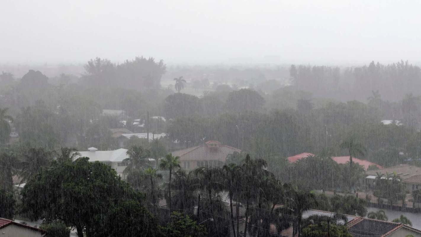 A heavy rainstorm blurs a view of suburban houses and tropical greenery.