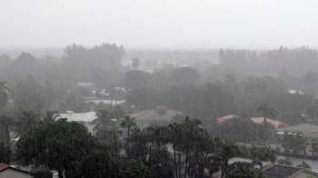 A heavy rainstorm blurs a view of suburban houses and tropical greenery.