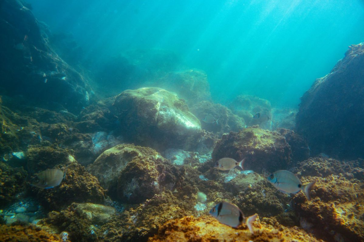 Rocks underwater.