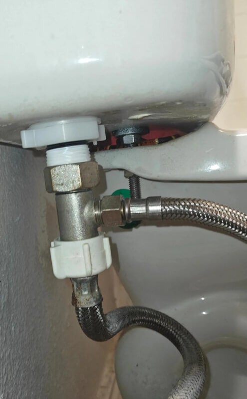 A small red-and-black snake in a gap below a toilet's tank.