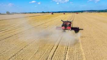 A red combine harvester processes wheat in a vast golden field under a blue sky with scattered clouds.