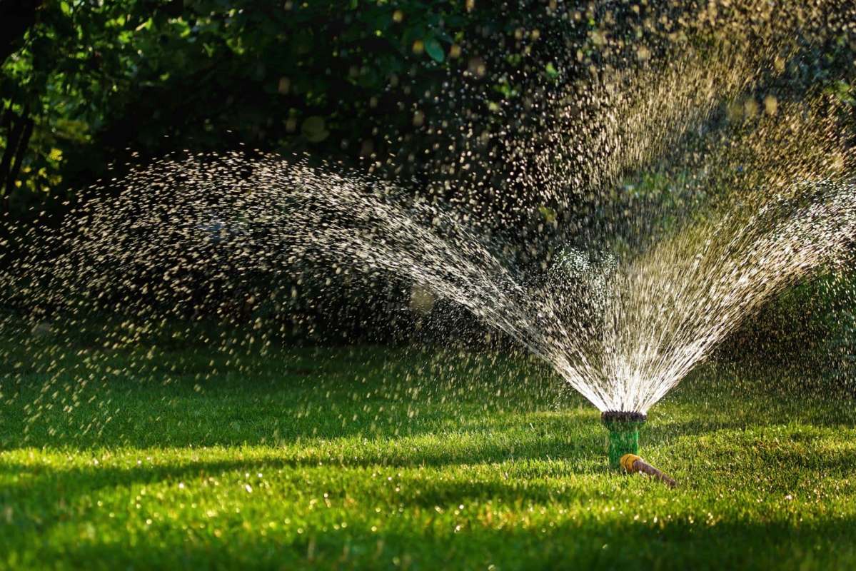 A sprinkler spraying water over a lush green lawn on a sunny day.