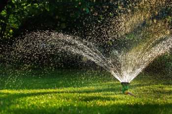 A sprinkler spraying water over a lush green lawn on a sunny day.