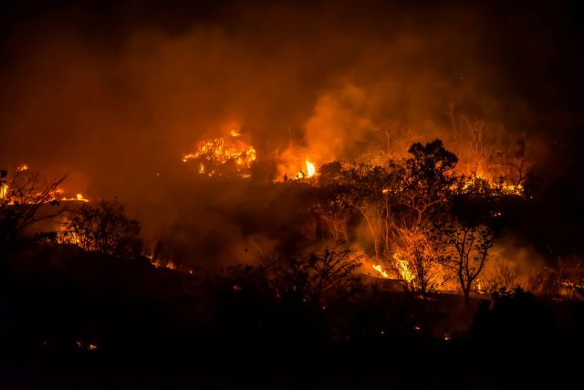 A forest engulfed in flames under a dark sky, with smoke billowing around the burning trees.