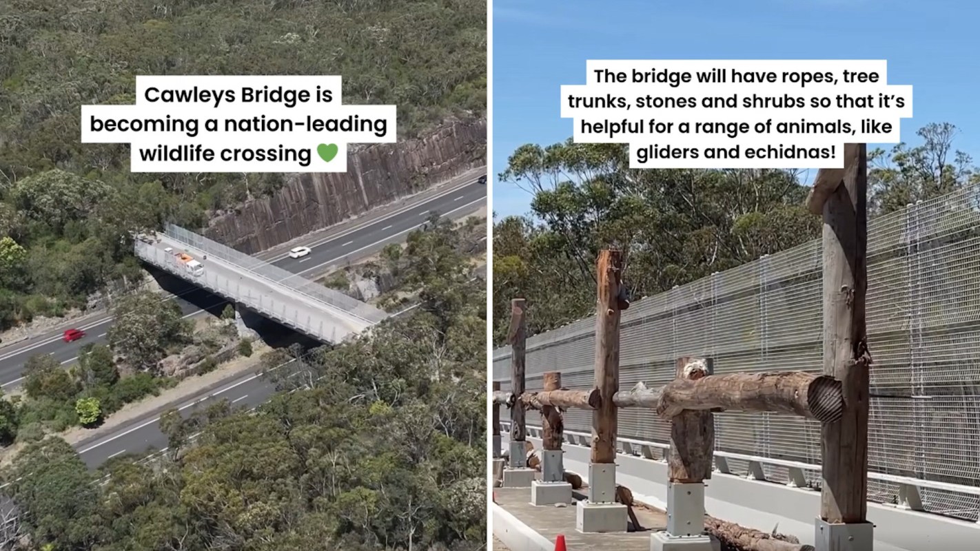 Cawleys Bridge is designed as a wildlife crossing with natural features to aid animals' passage.