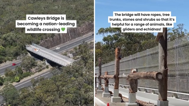Cawleys Bridge is designed as a wildlife crossing with natural features to aid animals' passage.