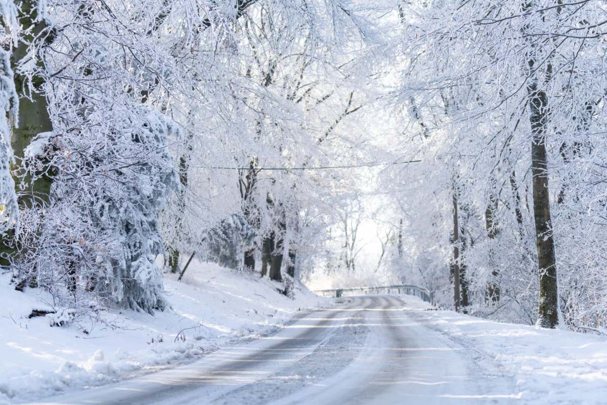 A snow-covered road winding through a forest of frost-laden trees on a bright winter day.