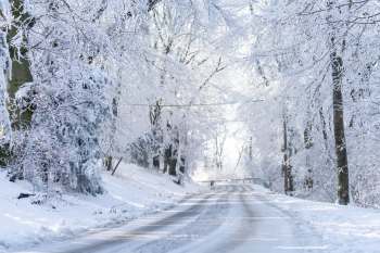 A snow-covered road winding through a forest of frost-laden trees on a bright winter day.