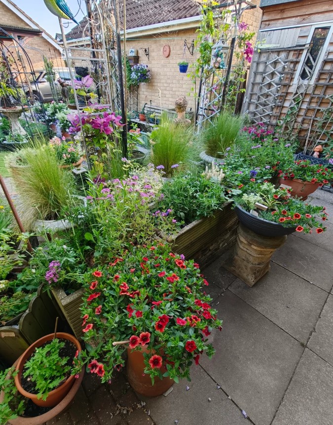 A vibrant garden with a variety of potted plants and colorful flowers. 