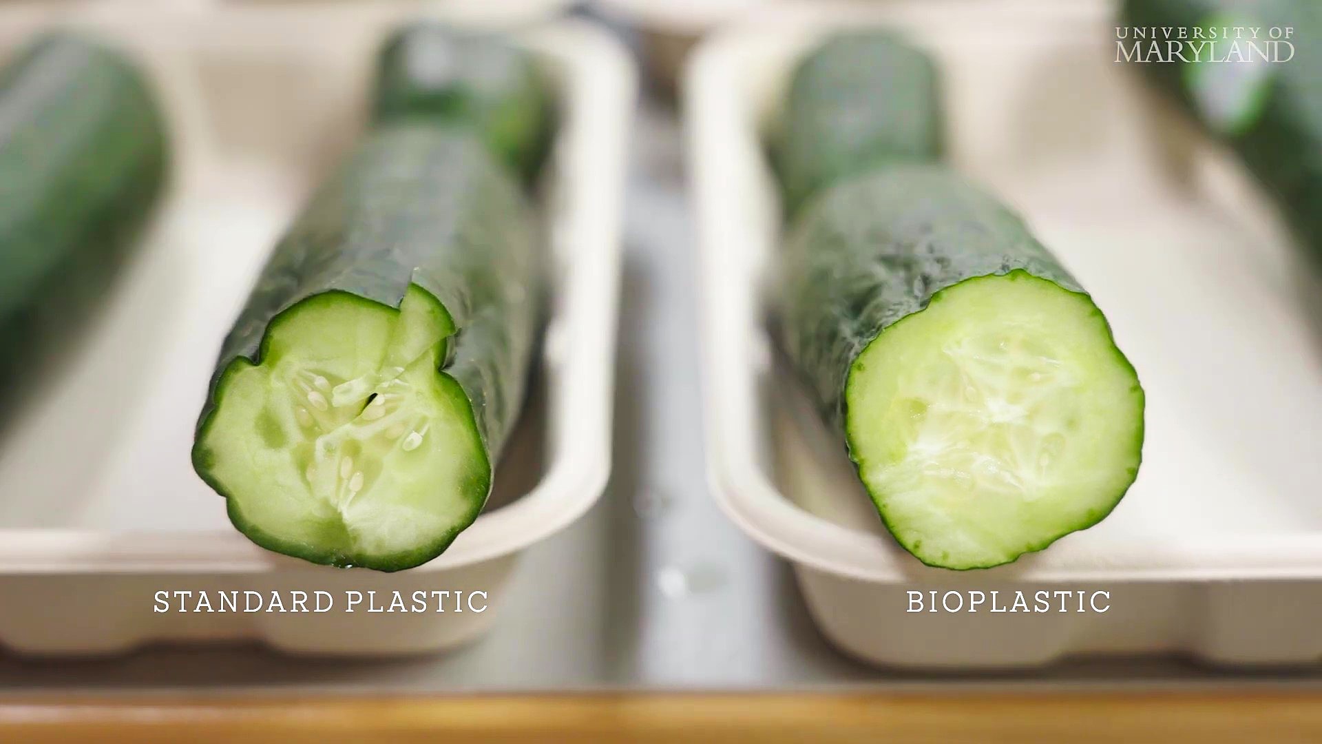 New shellfish-made packaging could keep produce fresh twice as long as plastic and break down in weeks