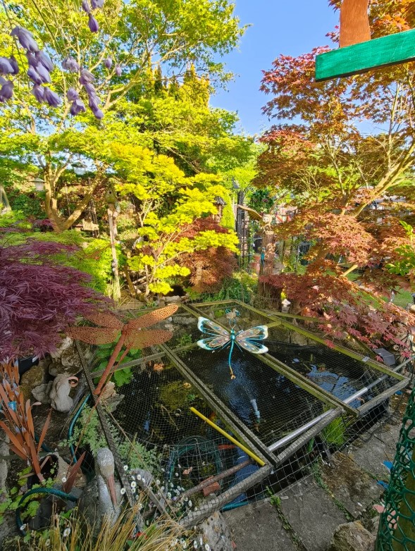 An outdoor water feature with a large dragonfly decoration, surrounded by trees 