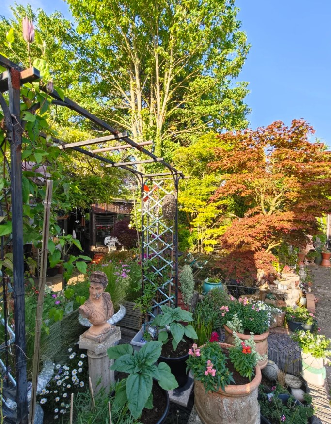 A trellis over a stone bust surrounded by flowers and potted plants.