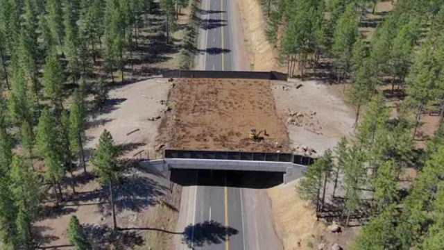 An aerial view of a construction site featuring an underpass surrounded by trees and cleared earth.